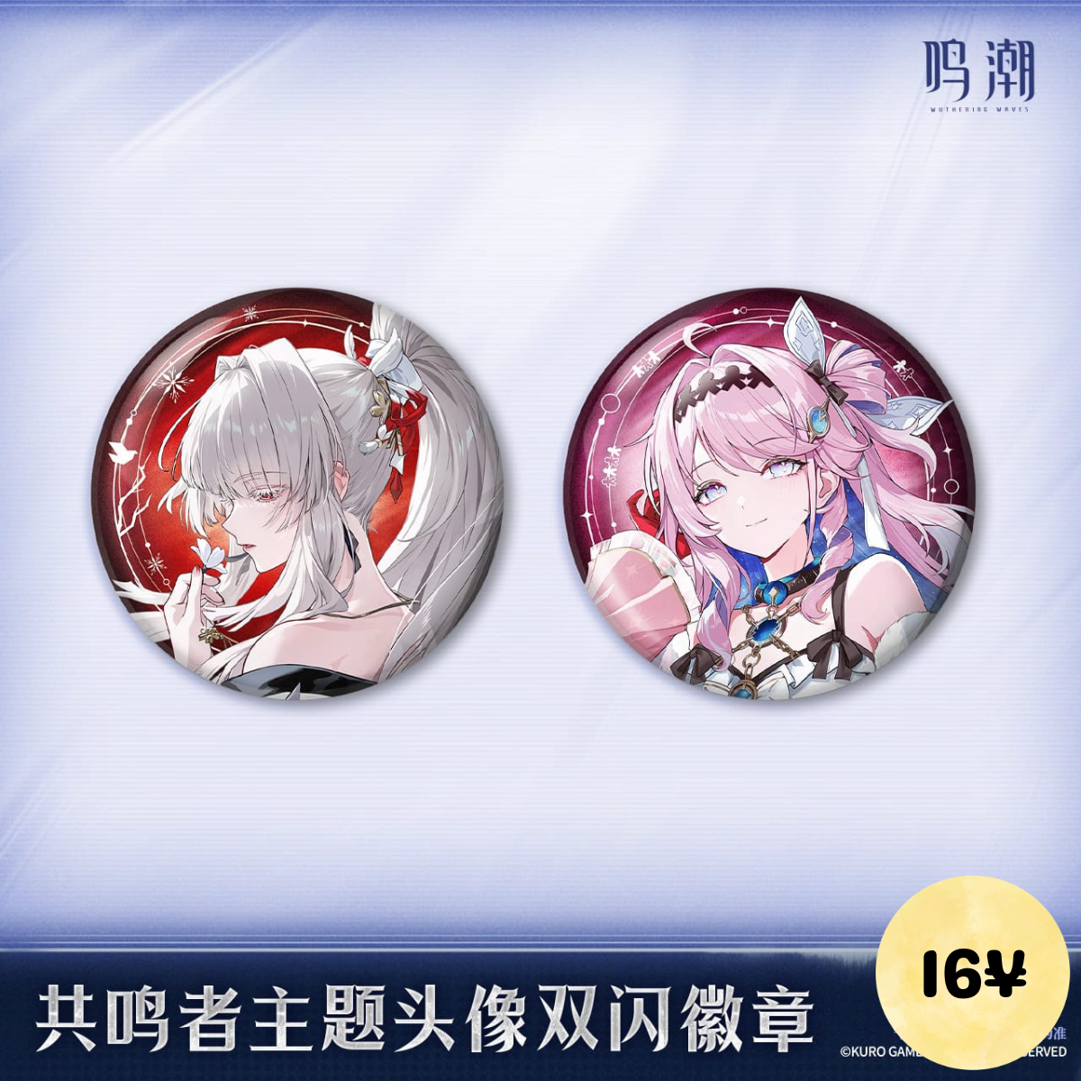Wuthering Waves Resonator Themed Avatar Series: Avatar Reflective Badge