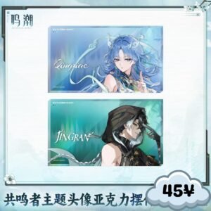Wuthering Waves Xuanfang Myriad Senes Acrylic Block